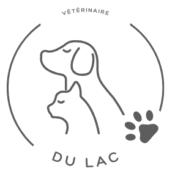 logo d un chien et chat